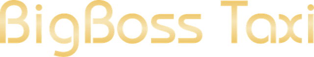 Big Boss Taxi Logo